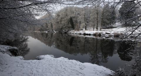 Snowy ground looking out over lake, surrounded by bare trees