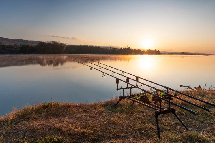 Three fishing rods on bank of a river as the sun sets