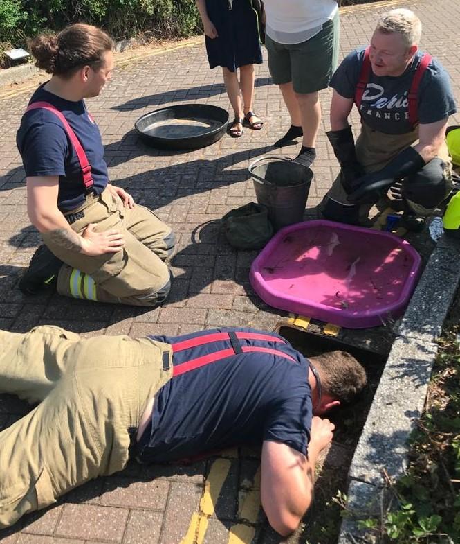 Two firefighters kneeling and one firefighter face down with his arm down a drain