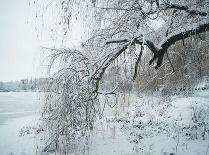 STOCK Winter Water