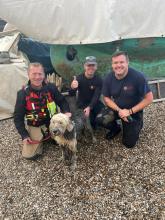 Three firefighters posing with a dog they rescued