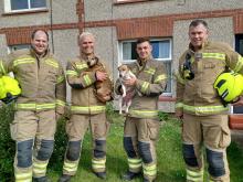 Alfie and Belle with some of Maldon's firefighters