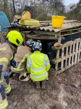 pig rescue jan 20 1 felsted