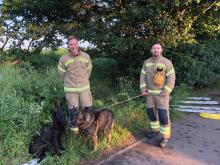 Tilbury dog rescue - June 2021